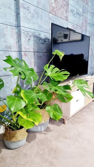 Stylish 2 Bedroom Apartment / Free Gated Parking Glasgow Buitenkant foto